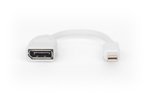 Digitus DisplayPort adapter cable, mini DP - DP