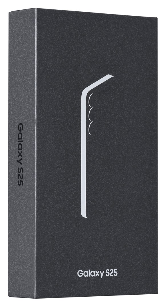 Samsung Galaxy S25 15.8 cm (6.2") Dual SIM Android 15 5G USB Type-C 12 GB 256 GB 4000 mAh Mint colour