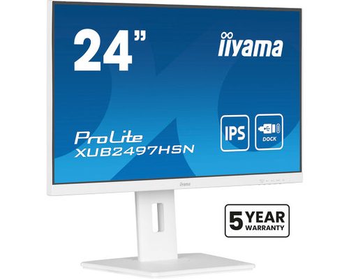 iiyama ProLite 24" IPS technology panel with USB-C dock and RJ45 (LAN)