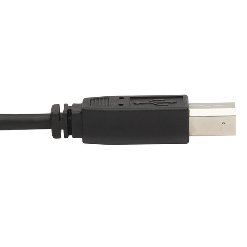 Tripp Lite Dual DisplayPort KVM Cable Kit - DP, USB, 3.5 mm Audio (3xM/3xM) + DP (M/M), 4K, 4:4:4, 6 ft. (1.83 m), Black