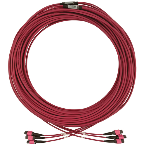 Tripp Lite N858B-45M-3X8MG 40/100/400G Multimode 50/125 OM4 Fiber Optic Cable (3x8F MTP/MPO-PC F/F), LSZH, Magenta, 45 m (147.6 ft.)