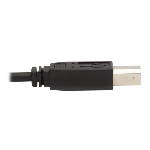 Tripp Lite DisplayPort KVM Cable Kit, 3 in 1 - 4K DisplayPort, USB, 3.5 mm Audio (3xM/3xM), 4:4:4, 1.83 m, Black