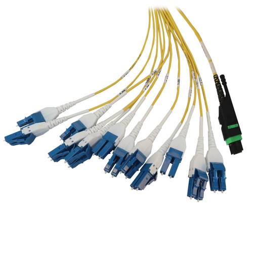 Tripp Lite Preloaded Fiber Panel, 1U - 2x (24F MTP/MPO-APC to 12x LC Duplex F/M) 24F Trunk Cables, OS2 Singlemode, 10 m (32.8 ft.)