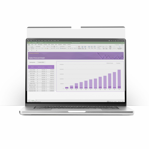 17TF6-PRIVACY-SCREEN - Computer Systems by StarTech.com