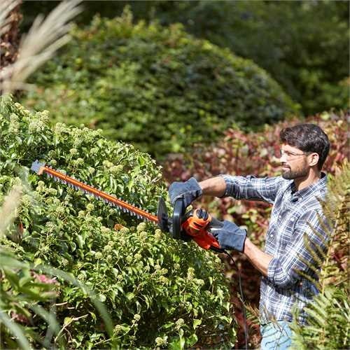 Hedge trimmer 500 watts  55 centimeters  blade spacing 22 mm