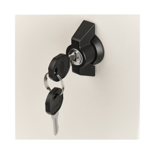 Tripp Lite SRN4G6UDP SmartRack Industrial Enclosure with Lock - NEMA 4, Wall Mount, Metal Construction, 20.5 in. Depth, 6U, Gray