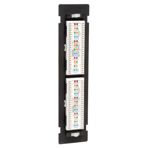 Tripp Lite N250-012 12-Port Cat6/Cat5 Wall-Mount Vertical 110 Patch Panel, TAA