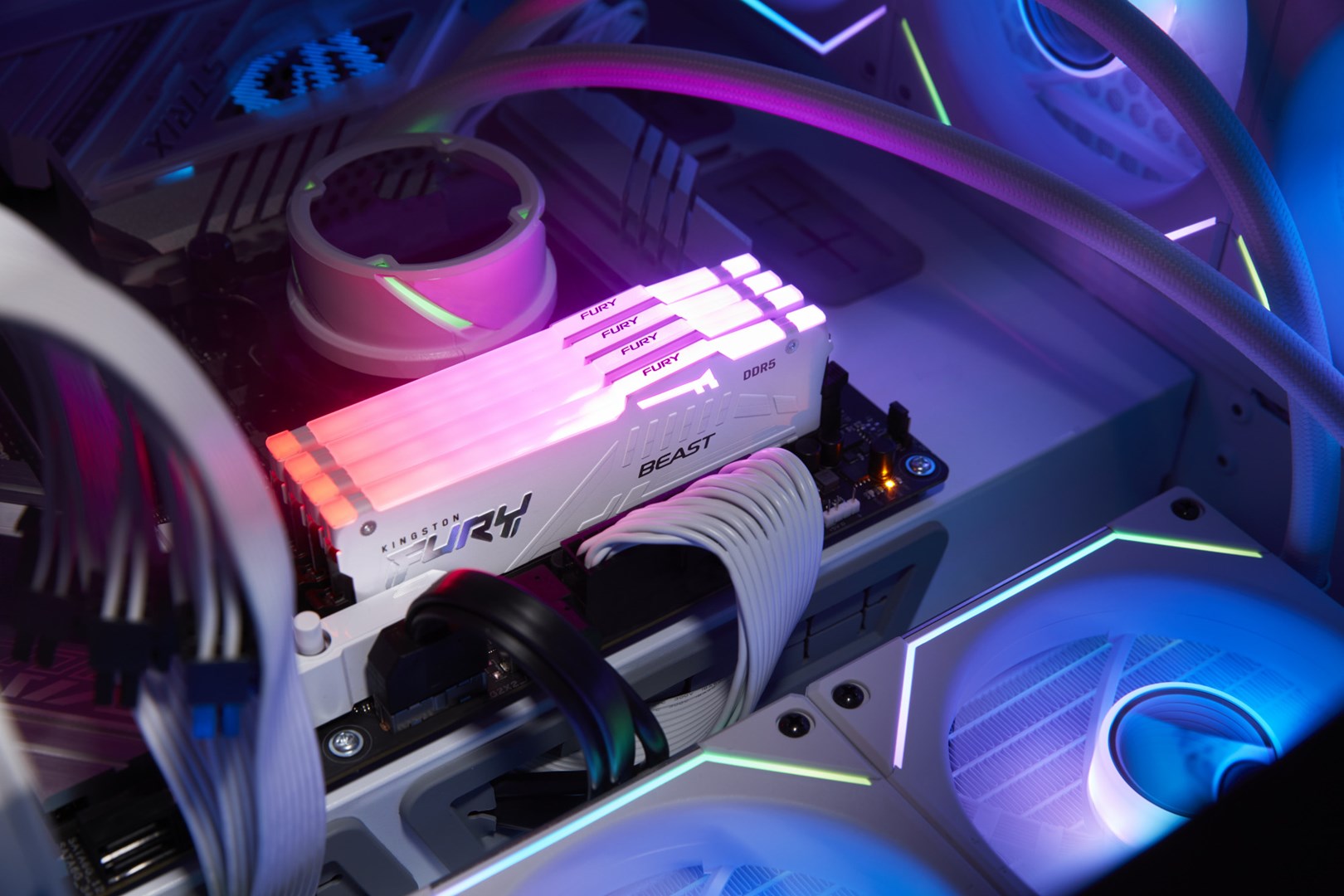 Kingston Technology FURY Beast 32GB 6000MT/s DDR5 CL36 DIMM White RGB EXPO