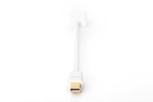 Digitus DisplayPort Adapter / Converter