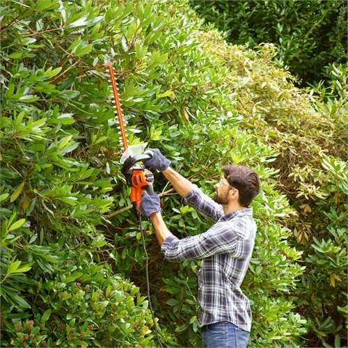 Hedge trimmer 500 watts  55 centimeters  blade spacing 22 mm