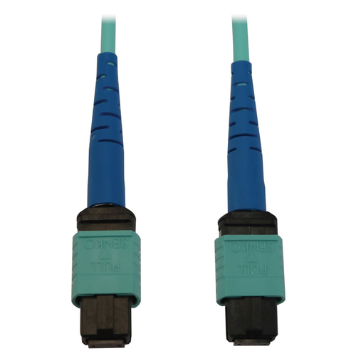 Tripp Lite N846B-15M...