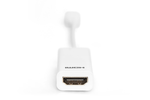 Digitus Mini DisplayPort - HDMI Adapter / Converter