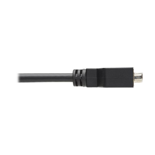 Tripp Lite P134-000 DisplayPort to DVI-I Adapter Cable (M/F), 6 in. (15.2 cm)