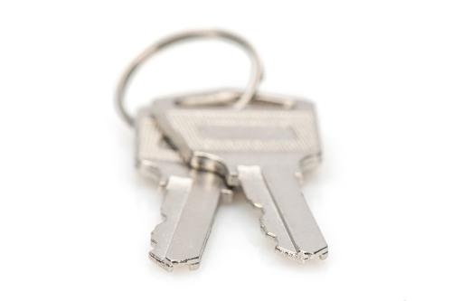 Digitus Keys for loading lockers (trolleys)