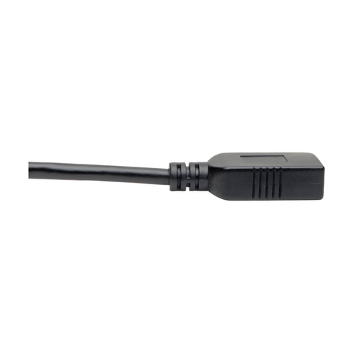 Tripp Lite U428-C6N-F USB-C to USB-A Adapter (M/F), USB 3.2 Gen 1 (5 Gbps), USB-IF Certified, Thunderbolt 3 Compatible, 6-in. (15.24 cm)