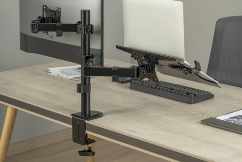 Digitus Single monitor mount & notebook mount, 1x32", 2x 9 kg